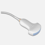 Convex Array Transducer Probe