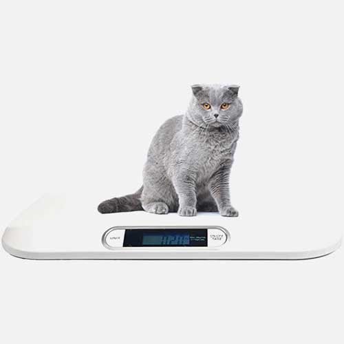 FMS DIGITAL PORTABLE VETERINARY CAT SCALE