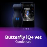 Butterfly iQ+ Vet-Condensed