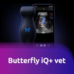 Butterfly iQ+Vet