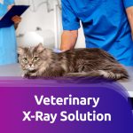 Veterinary X-Ray Solution