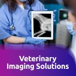 Veterinary Imaging Solutions