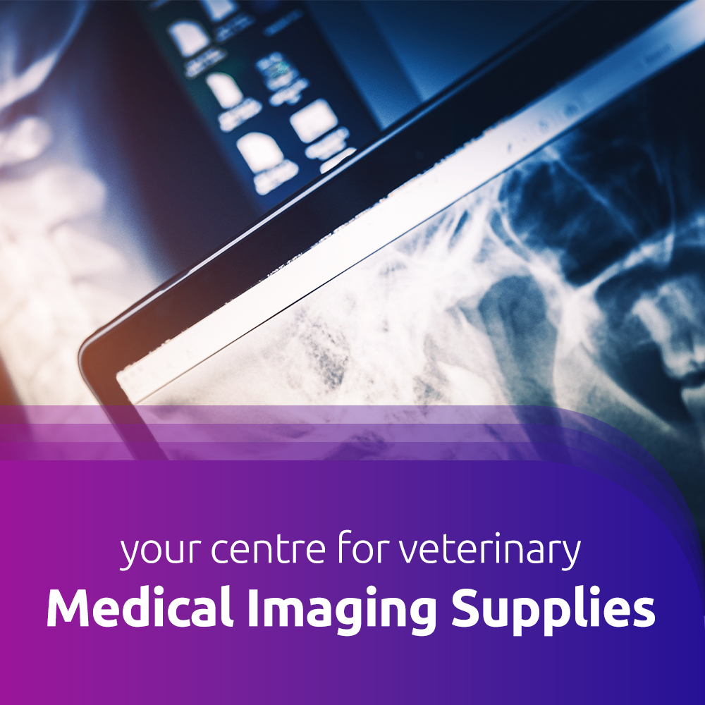 Veterinary Embroidery